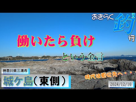 【#城ヶ島】#おきらく釣行【2024/12/10】