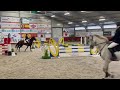 Show jumping horse Betrouwbaar springpaard (allround)