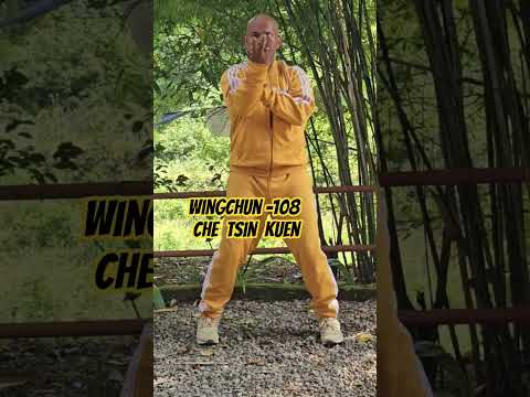 Wingchun Chong Kuen #chongkuen #martialarts  #wingchun #foshan #snakecranewingchun #vingtsun #shifu