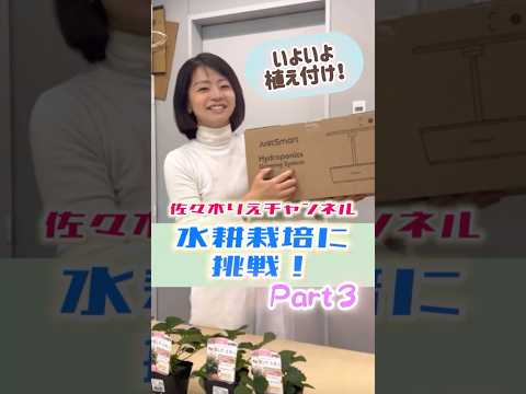 【水耕栽培に挑戦！Part３】わたしも植物育てたい！！吉村洋文 代表と藤田文武 共同代表に負けるな 佐々木りえ　#日本維新の会