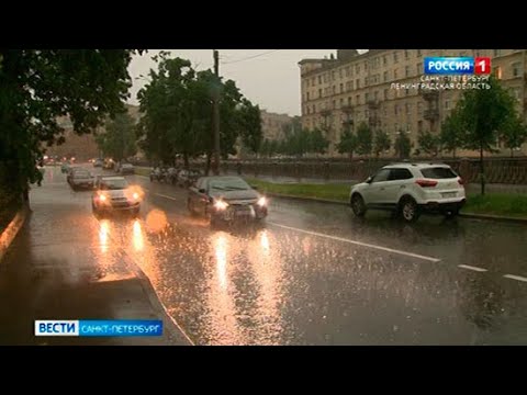 Вести Санкт-Петербург. Выпуск 9:00 от 29.06.2021