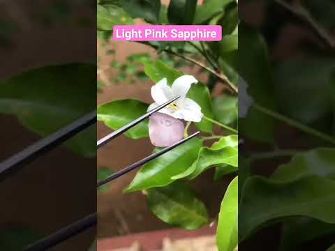pink Sapphire #srilankangemstones #sapphire #pinksapphire #viralshorts