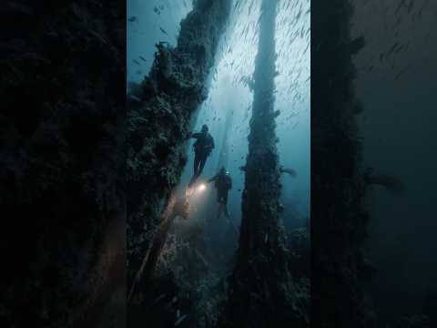Underwater Camera Records Upright Beams at Extreme Depth