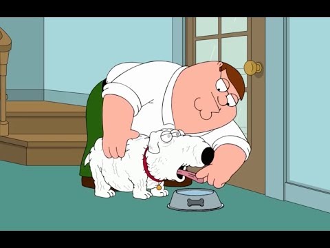 Family Guy - Peter Helps Brian Drinks Water