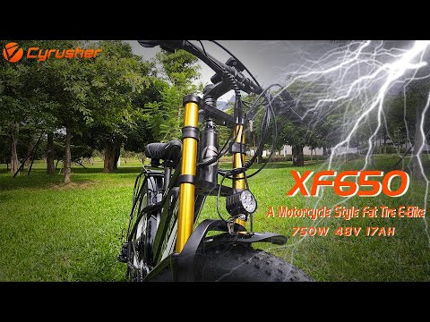 Cyrusher XF650 motorcycle-style e-bike 1500W 17Ah fat tire