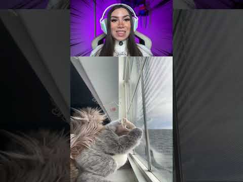 Isso é um Esquilo??