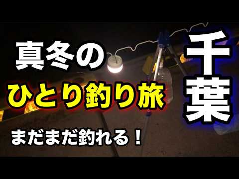 真冬の東京湾で挑戦！堤防から狙う太刀魚＆アジの釣り旅！2024.12