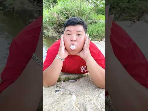 Giai điệu của đá - Ping Pong Ball Melody 🏓🎹# Shorts