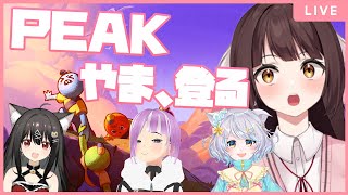 【PEAK】話題の登山ゲーム！？みんなで過酷な山登りをします！初見プレイ🐉竜姫視点🐉【Vtuber】
