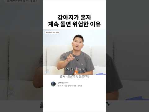 <strong>강아지가</strong> 혼자 계속 돌면 위험한 이유
