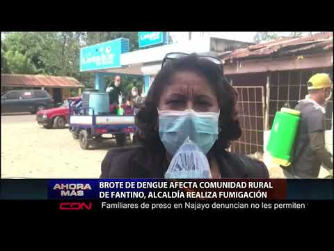 Brote de dengue afecta comunidad rural de Fantino; alcaldía realiza fumigación