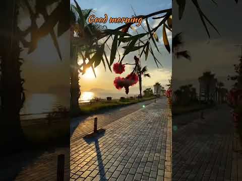 Good morning 🌸🌞! Today is a blank page — write it with love, courage, and confidence.💥