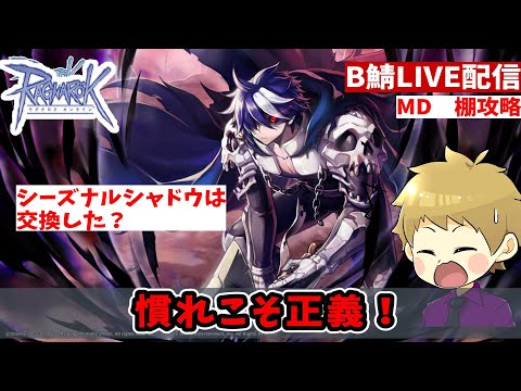 【RO】棚に慣れたいと意気込む初心者【ラグナロクオンライン】