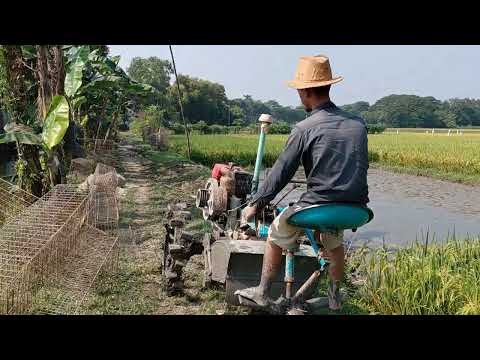 Power tiller machine work at village winter sesson - best work at Young dirver