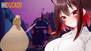 朝活ダッコフChill 風邪をひいちゃったカモ #escapefromduckov