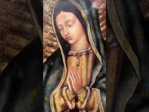 Momento destacado en directo