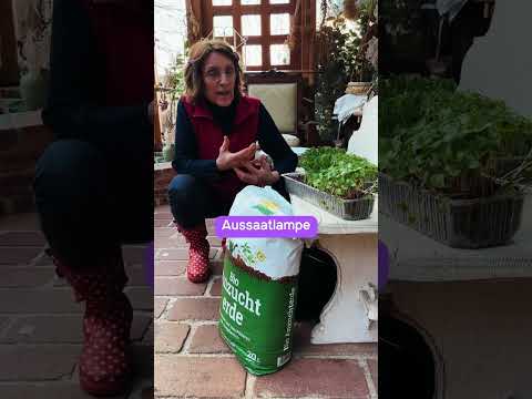 Diese 3 Tipps entscheiden über deine Pflanzenanzucht! 🌱