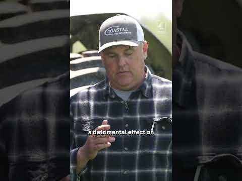 US workers 'taken advantage of for generations' - pro-Trump farmer