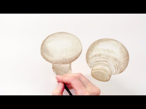 How to paint realistic rounded mushrooms in watercolour with Anna Mason