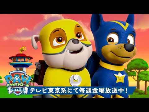 パウ・パトロール | スーパーパップのラブルが出動！PAW Patrolと一緒に | 1時間 | テレビ東京系にて放送中
