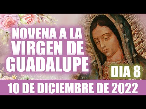 Novena a la Virgen de Guadalupe  Día 8 //Hoy 10 de diciembre de 2022  ORACIÓN CATÓLICA