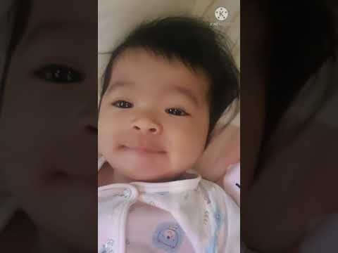 น้องกะเพราศรีก้องห้วยไร่เบลฐาข น้องกะเพราศรีก้องห้วยไร่เบลฐาข