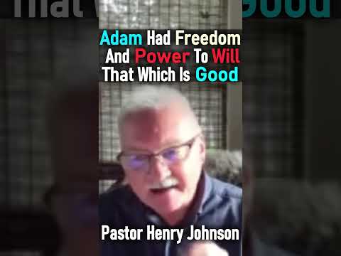 Adam Had Freedom And Power To Will That Which Is Good - Pastor Henry Johnson #shorts #creation #God