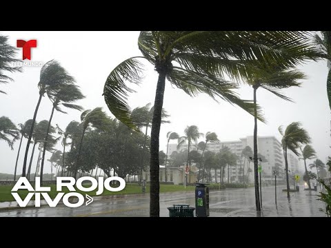 Se espera que la tormenta Eta llegue nuevamente a Florida | Al Rojo Vivo | Telemundo