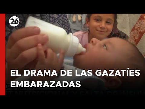 MEDIO ORIENTE | El drama de las gazatíes embarazadas