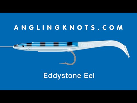 How To Rig The Eddystone Eel