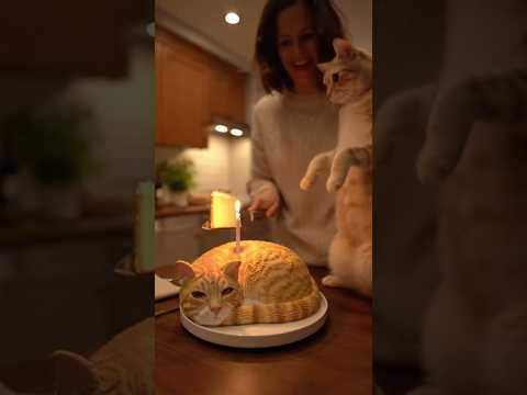 🤣She Cuts a Cat Cake and the Real Cat Freaks Out!