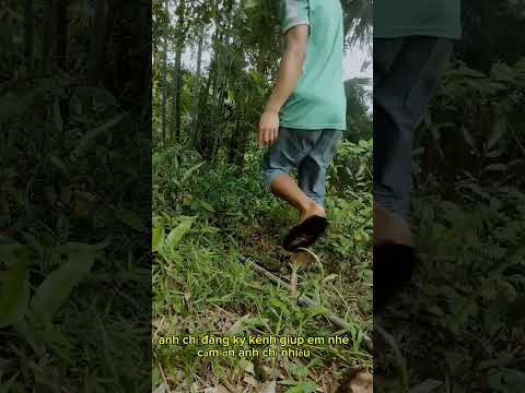 #cảnhdep#taplamyoutube