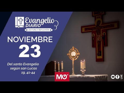 Lectura y reflexión | 23 de noviembre 2023 | Del santo Evangelio según san Lucas: 19, 41-44.