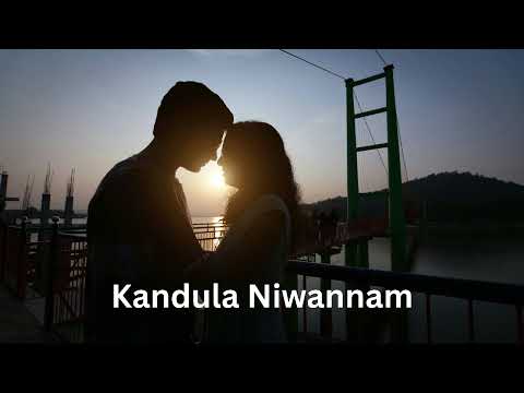 Kandula niwannam |කඳුල නිවන්නම් නෙත නොතෙමනවා නම්  | Covered by Sakura Lk