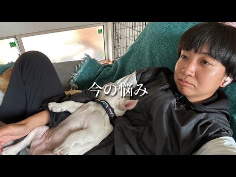 私の悩み相談に乗ってください