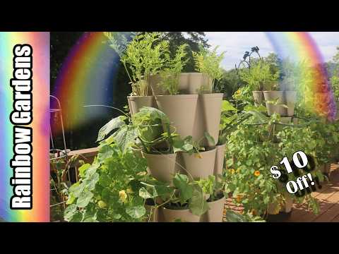 What's Growing in June?