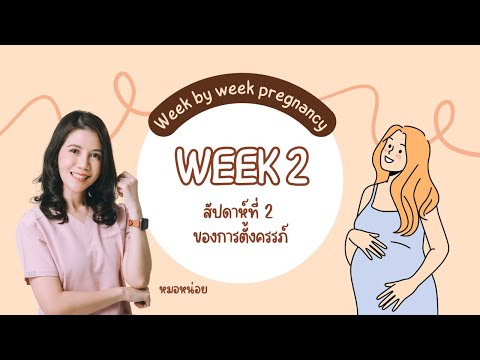 drnoithefamily สัปดาห์ที่2ของการตั้งครรภ์:Pregnancyweek2สัปดาห์ที่2ของการตั