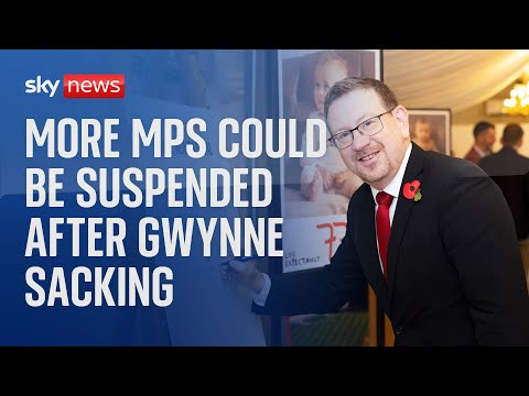 Labour MPs and other members of WhatsApp group could be suspended after Gwynne sacking, govt says