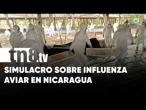 Nicaragua desarrolla simulacro de caso positivo de influenza aviar