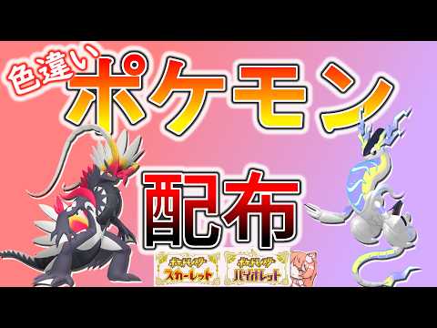 【ポケモンSV】お誕生日なので豪華に!!欲しい子を選べる!👑色違い、幻、傳説ポケモン配布!🐈色違いコライドン、色違いミライドンなど🦕