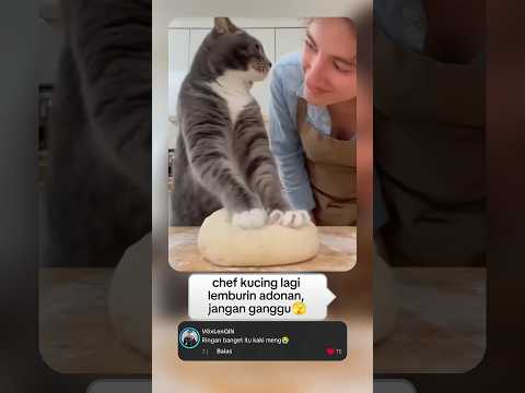 detik detik kena t*b*kan kucing😱