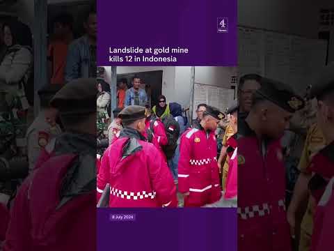 Landslide at gold mine kills 12 in Indonesia