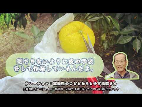 ファミマル「産地と、コンビに、」とろける食感ぎゅっとゆず