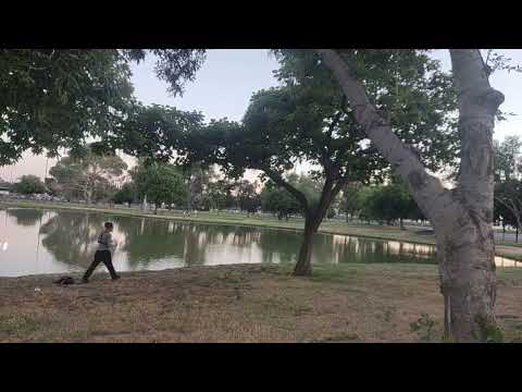 BROKEN FLY ROD AND CATFISHING fishing with my fly rob before we go for large fish