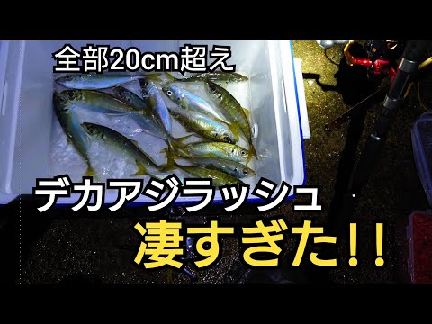 夕方の時合いでデカアジのアタリラッシュが凄すぎた!!平均25cm