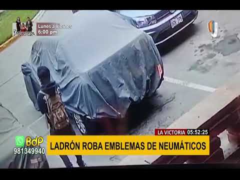 Cámara de seguridad registra robo de autopartes en La Victoria