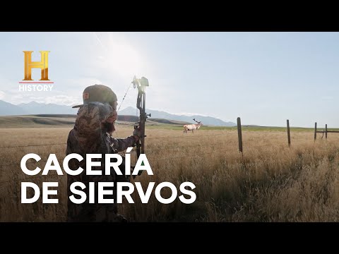 CACERÍA DE SIERVOS - HOMBRES DE MONTAÑA