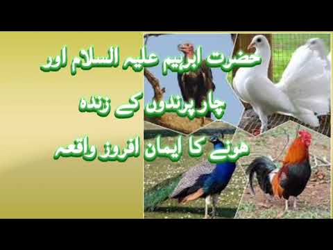 Hazrat IBRAHIM A.S. II Four prindon KY Zinda II Eman Afroz waqiya