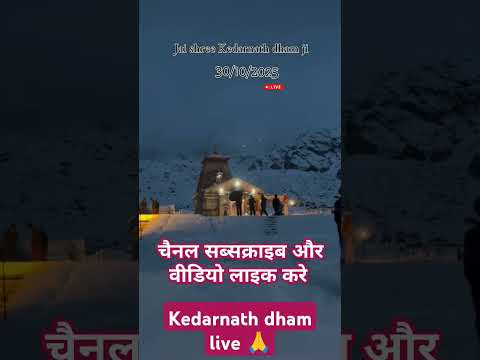 केदारनाथ धाम की आज की वीडियो 🙏🙏 #kedarnath #bholenath #2025