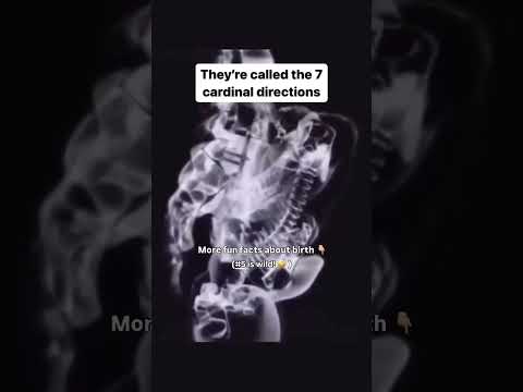 More fun facts about birth: 1